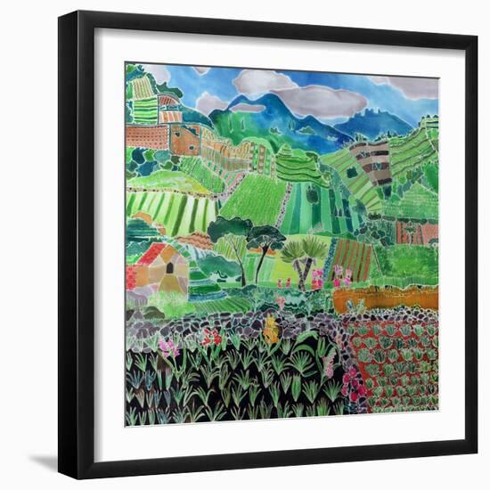 Cabbages and Lilies, Solola Region, Guatemala, 1993-Hilary Simon-Framed Giclee Print