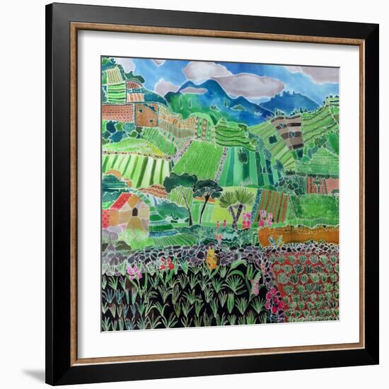 Cabbages and Lilies, Solola Region, Guatemala, 1993-Hilary Simon-Framed Giclee Print