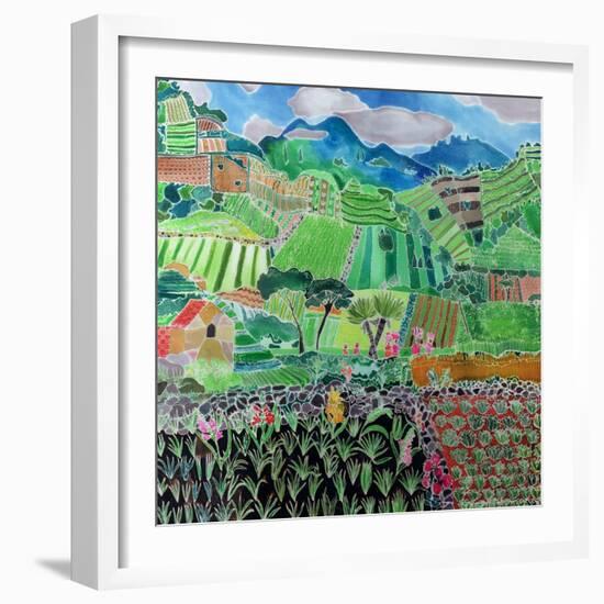 Cabbages and Lilies, Solola Region, Guatemala, 1993-Hilary Simon-Framed Giclee Print