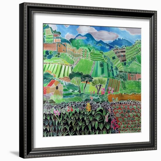 Cabbages and Lilies, Solola Region, Guatemala, 1993-Hilary Simon-Framed Giclee Print