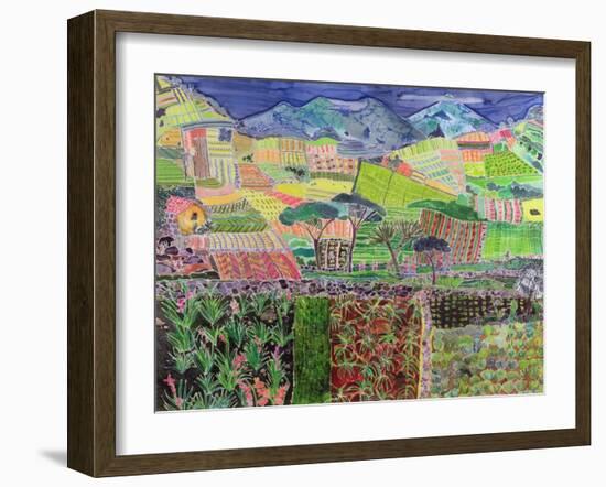 Cabbages and Lillies Revisited, Guatemala, 2006 (Dyes on Silk)-Hilary Simon-Framed Giclee Print