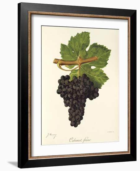 Cabernet Franc Grape-J. Troncy-Framed Giclee Print