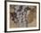 Cabernet Franc-Jennifer Kennard-Framed Photographic Print