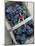 Cabernet Sauvignon Grapes, Pauillac-Medoc, Aquitaine, France-Michael Busselle-Mounted Photographic Print