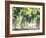 Cabernet Sauvignon Grapes-Joerg Lehmann-Framed Photographic Print