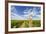 Cabernet Sauvignon Vineyards, Pepper Bridge Winery, Washington, USA-Richard Duval-Framed Photographic Print