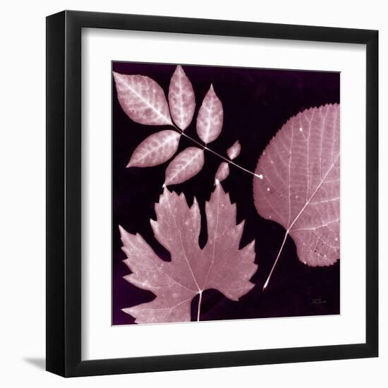 Cabernet Sunprint Leaves-Dan Zamudio-Framed Art Print