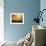 Cabin alongside River in Copper Field-Jan Lakey-Framed Photographic Print displayed on a wall