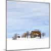 Cabin Atop the Snowy Ridge II-Don Schwartz-Mounted Art Print