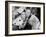 Cabin in the Sky, Lena Horne, Eddie 'Rochester' Anderson, 1943-null-Framed Photo