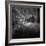 Cabin in the Woods-Michael de Guzman-Framed Photographic Print