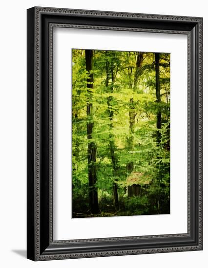 Cabin in the Woods-Philippe Sainte-Laudy-Framed Photographic Print