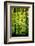 Cabin in the Woods-Philippe Sainte-Laudy-Framed Photographic Print