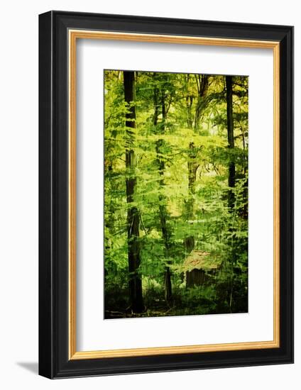 Cabin in the Woods-Philippe Sainte-Laudy-Framed Photographic Print