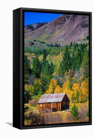 Cabin is in Hope Valley, in the Sierra Nevada, California, USA.-Betty Sederquist-Framed Premier Image Canvas