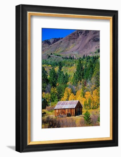 Cabin is in Hope Valley, in the Sierra Nevada, California, USA.-Betty Sederquist-Framed Photographic Print