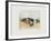 Cabines Du Nord-Annapia Antonini-Framed Limited Edition