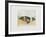 Cabines Du Nord-Annapia Antonini-Framed Limited Edition