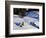 Cabins Nearly Covered in Snow in the German Alps-Walter Geiersperger-Framed Photographic Print