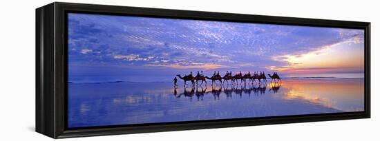 Cable Beach Camels-Wayne Bradbury-Framed Premier Image Canvas