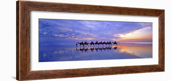 Cable Beach Camels-Wayne Bradbury-Framed Photographic Print