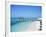 Cable Beach, Nassau, New Providence, Bahamas, West Indies, Central America-J Lightfoot-Framed Photographic Print