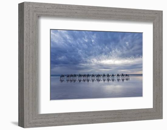 Cable Beach, Western Australia. Camels on the shore at sunset-Francesco Riccardo Iacomino-Framed Photographic Print