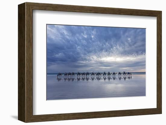 Cable Beach, Western Australia. Camels on the shore at sunset-Francesco Riccardo Iacomino-Framed Photographic Print