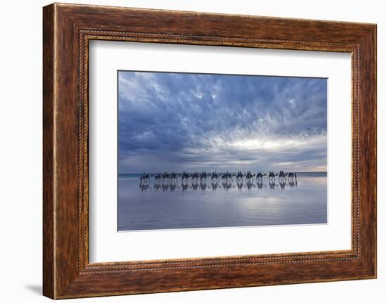 Cable Beach, Western Australia. Camels on the shore at sunset-Francesco Riccardo Iacomino-Framed Photographic Print