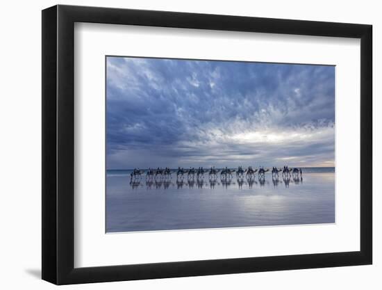 Cable Beach, Western Australia. Camels on the shore at sunset-Francesco Riccardo Iacomino-Framed Photographic Print