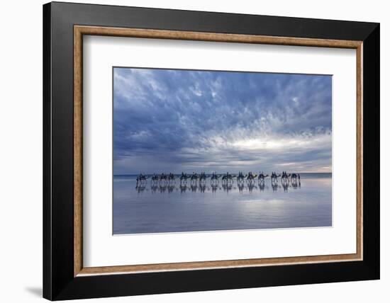 Cable Beach, Western Australia. Camels on the shore at sunset-Francesco Riccardo Iacomino-Framed Photographic Print