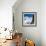 Cable Car in Front of Mt. Blanc from Mt. Brevent, Chamonix, Haute Savoie, Rhone Alpes, France-Jon Arnold-Framed Photographic Print displayed on a wall