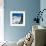 Cable Car in Front of Mt. Blanc from Mt. Brevent, Chamonix, Haute Savoie, Rhone Alpes, France-Jon Arnold-Framed Photographic Print displayed on a wall