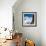 Cable Car in Front of Mt. Blanc from Mt. Brevent, Chamonix, Haute Savoie, Rhone Alpes, France-Jon Arnold-Framed Photographic Print displayed on a wall