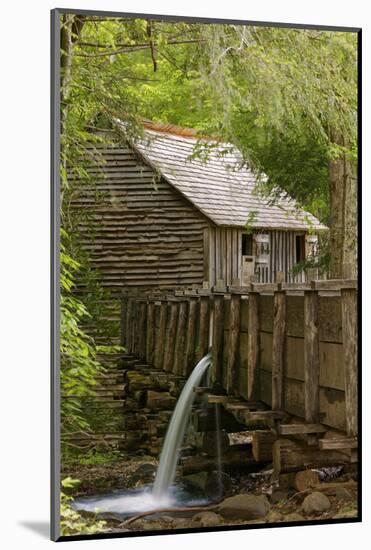 Cable Mill, Cades Cove, Great Smoky Mountains National Park, Tennessee-Adam Jones-Mounted Photographic Print