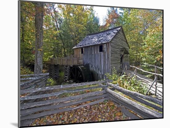 Cable Mill in Cades Cove, Great Smoky Mountains National Park, Tennessee, USA-Diane Johnson-Mounted Photographic Print