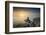 Cabo Carvoeiro and Nau dos Corvos at sunset, in front of the Atlantic Ocean. Peniche, Portugal-Mauricio Abreu-Framed Photographic Print