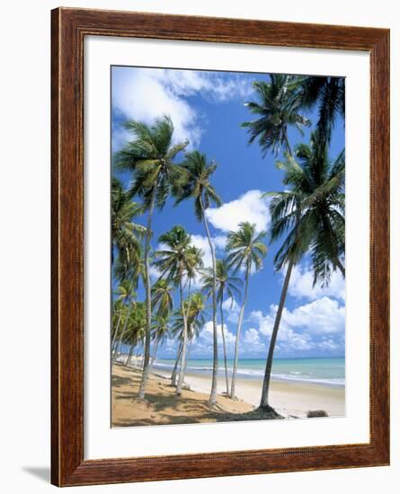 Cabo De Sao Roque, Natal, Rio Grande Do Norte State, Brazil, South America-Sergio Pitamitz-Framed Photographic Print