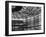 Cabo Hall Convention Arena Being Constructed-Andreas Feininger-Framed Photographic Print