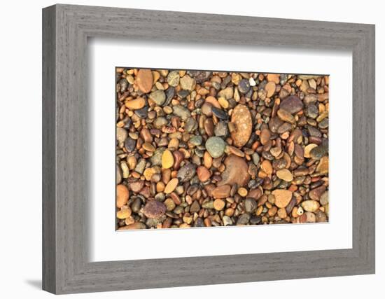 Cabo Pulmo, Los Cabos area, Baja California, Mexico. Close-up of rocks on the beach.-Stuart Westmorland-Framed Photographic Print