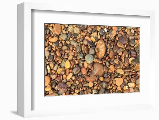 Cabo Pulmo, Los Cabos area, Baja California, Mexico. Close-up of rocks on the beach.-Stuart Westmorland-Framed Photographic Print