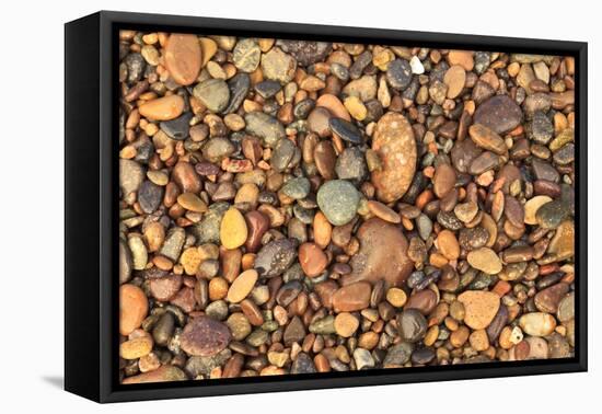 Cabo Pulmo, Los Cabos area, Baja California, Mexico. Close-up of rocks on the beach.-Stuart Westmorland-Framed Premier Image Canvas