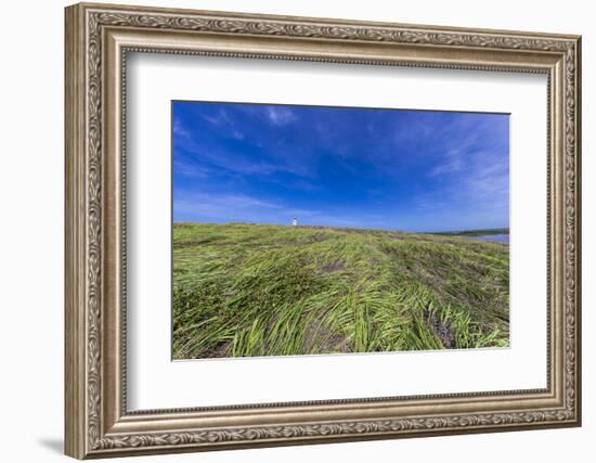 Cabo Rojo Lighthouse, Cabo Rojo National Wildlife Refuge, Puerto Rico-Maresa Pryor-Framed Photographic Print