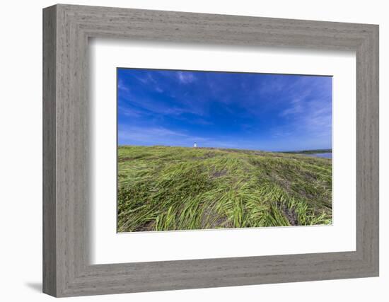 Cabo Rojo Lighthouse, Cabo Rojo National Wildlife Refuge, Puerto Rico-Maresa Pryor-Framed Photographic Print