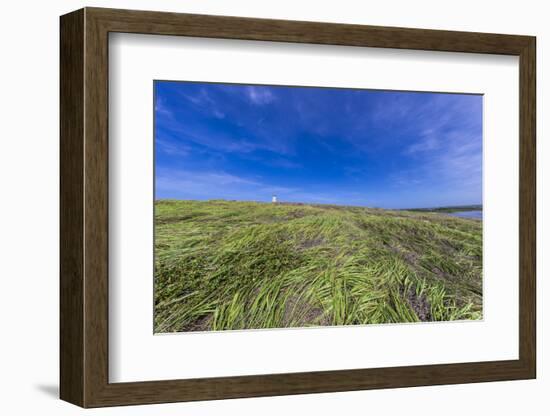 Cabo Rojo Lighthouse, Cabo Rojo National Wildlife Refuge, Puerto Rico-Maresa Pryor-Framed Photographic Print