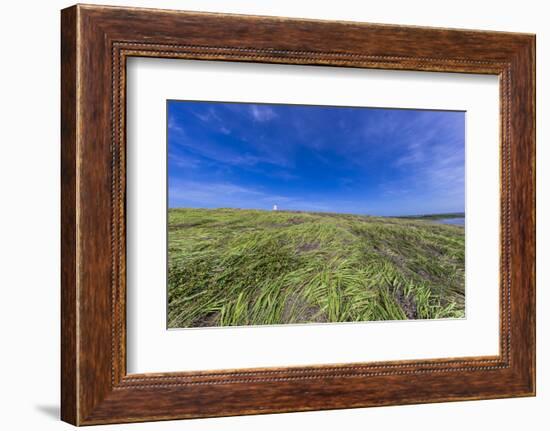 Cabo Rojo Lighthouse, Cabo Rojo National Wildlife Refuge, Puerto Rico-Maresa Pryor-Framed Photographic Print