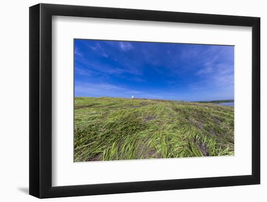 Cabo Rojo Lighthouse, Cabo Rojo National Wildlife Refuge, Puerto Rico-Maresa Pryor-Framed Photographic Print