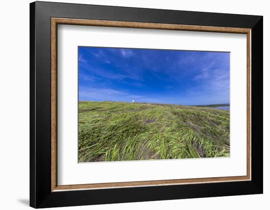 Cabo Rojo Lighthouse, Cabo Rojo National Wildlife Refuge, Puerto Rico-Maresa Pryor-Framed Photographic Print