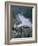 Caborra Bassa, Mozambique, Africa-David Lomax-Framed Photographic Print