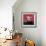 Cabra-Jean-Michel Basquiat-Framed Giclee Print displayed on a wall